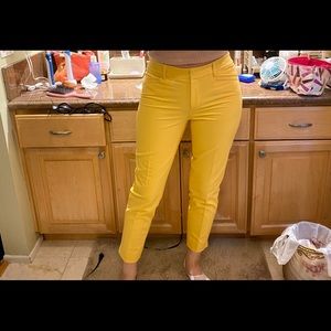 White House Black Market Yellow trousers